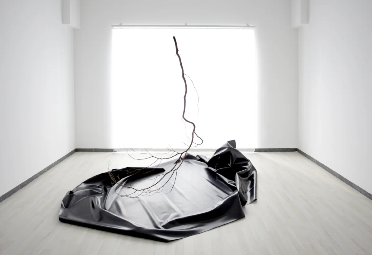 Paula Anta, " Follie ". Instalación con rama y lona de plástico.