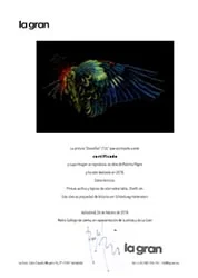 icono certificado.jpg