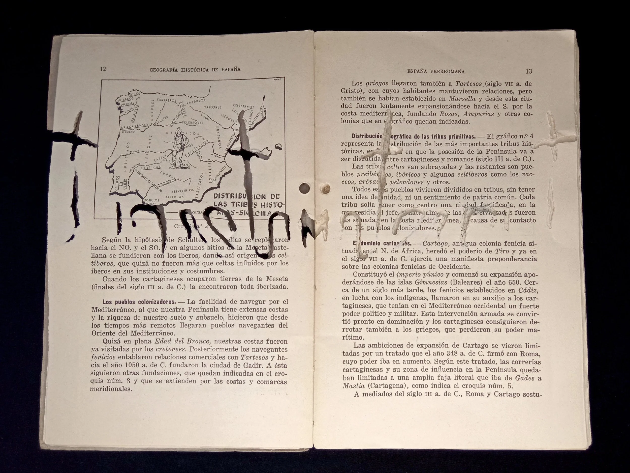 Bestioles. Internet - Lepisma saccharina, 2022