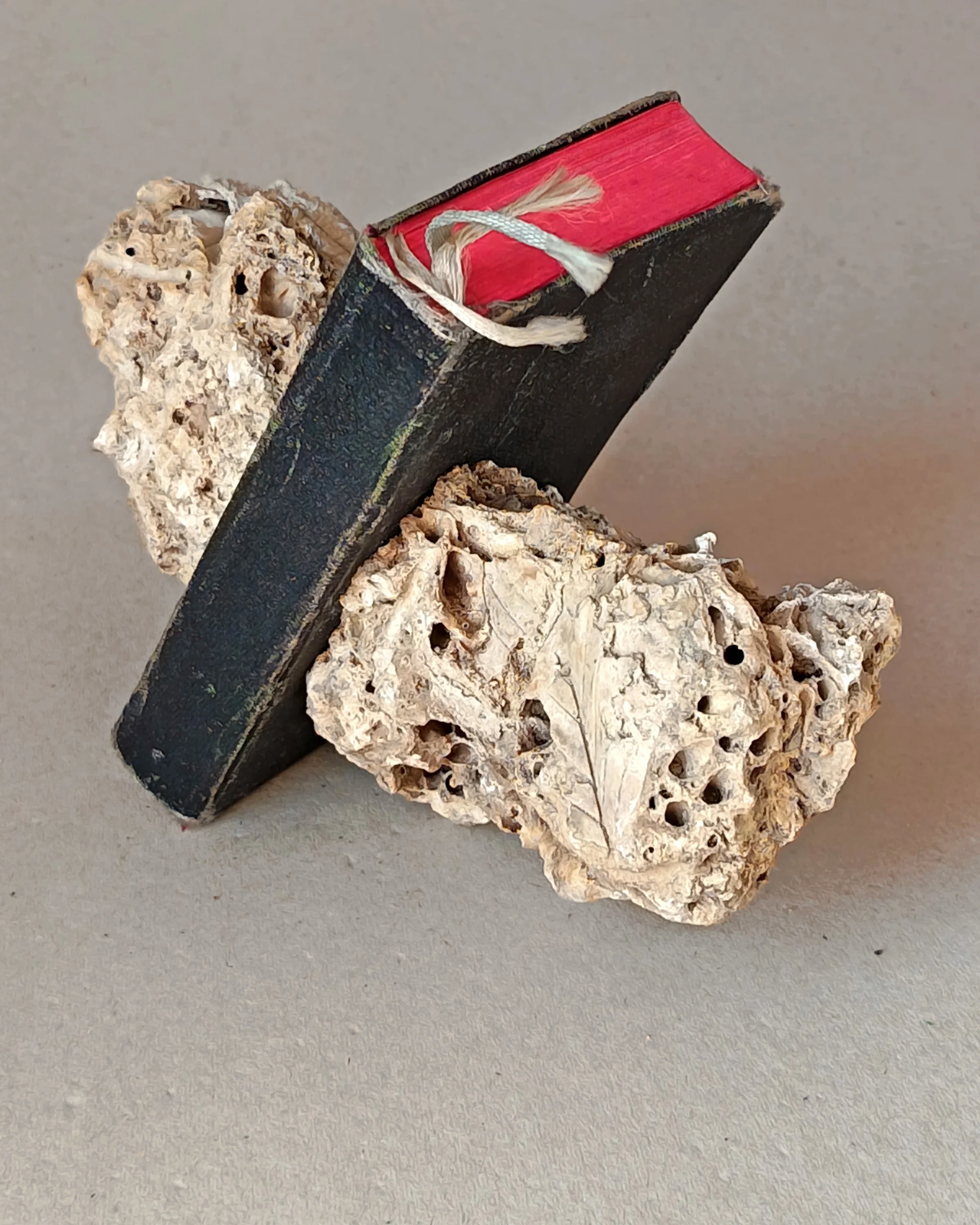 El peso infundado (Hojas), 2025