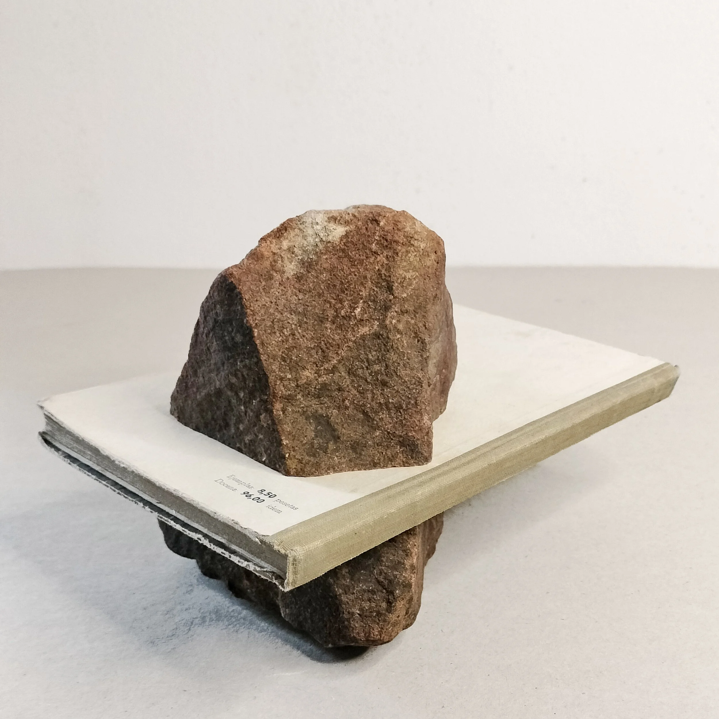 El paso infundado (8,50 pesetas, la docena 96), 2025