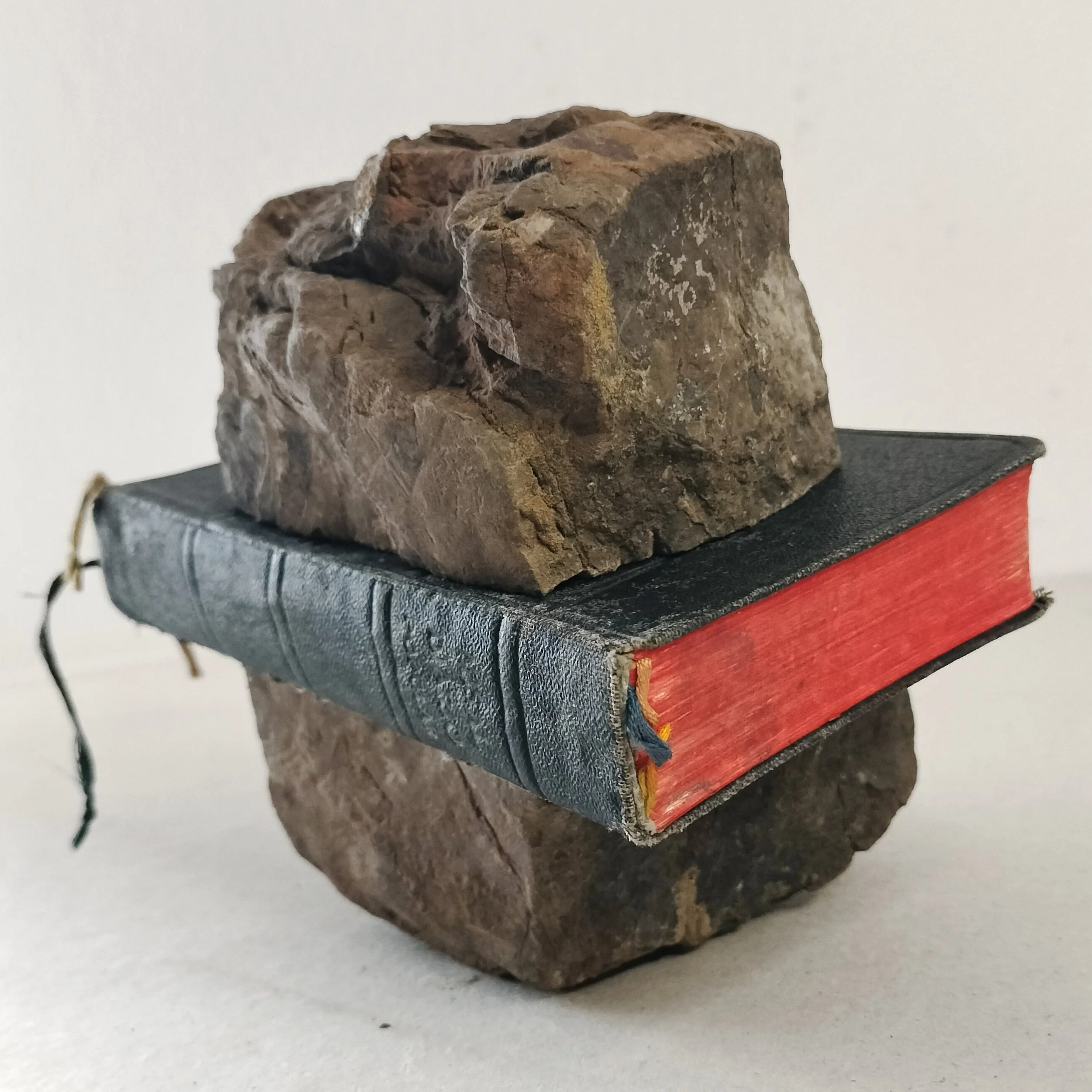 Misal Diario Popular, 2025