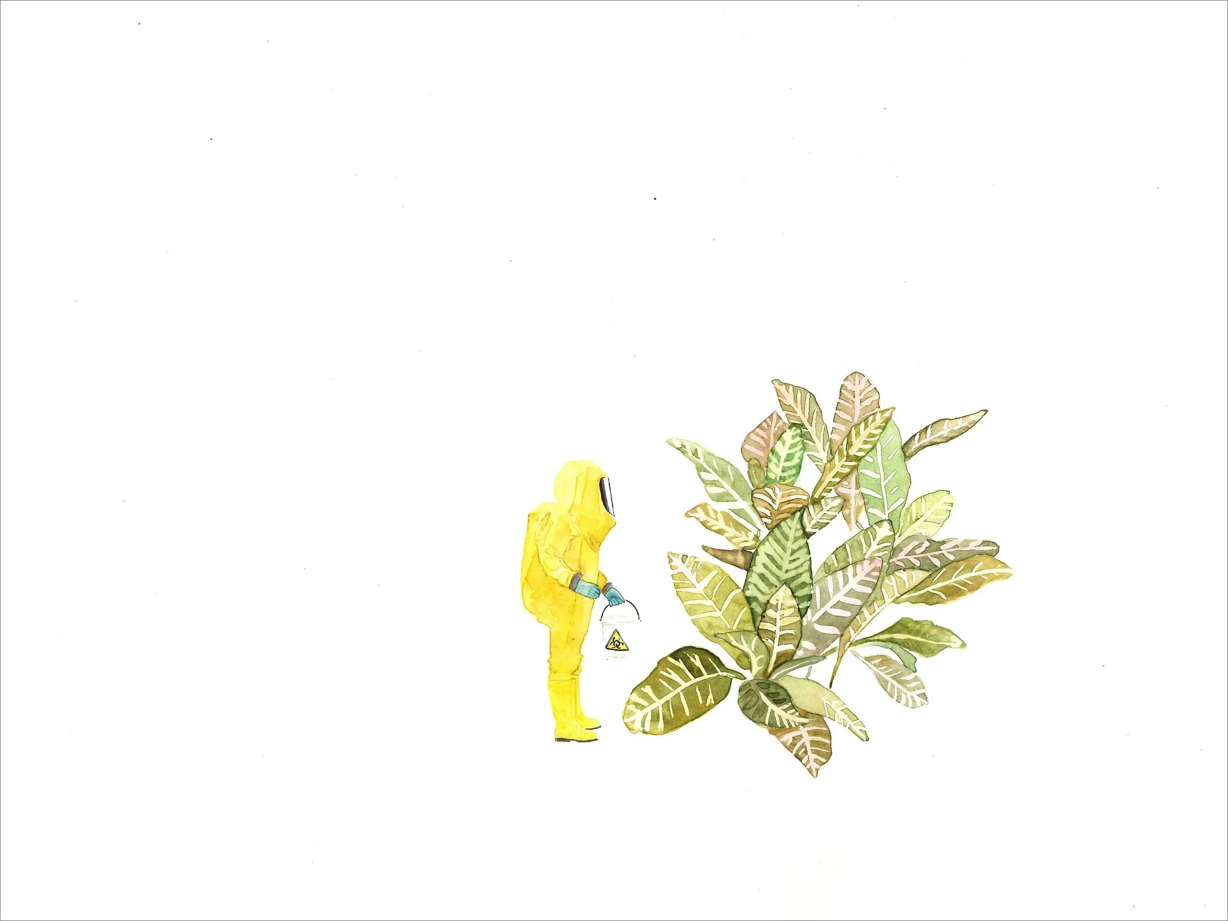 Terra Ignota VII, 2014