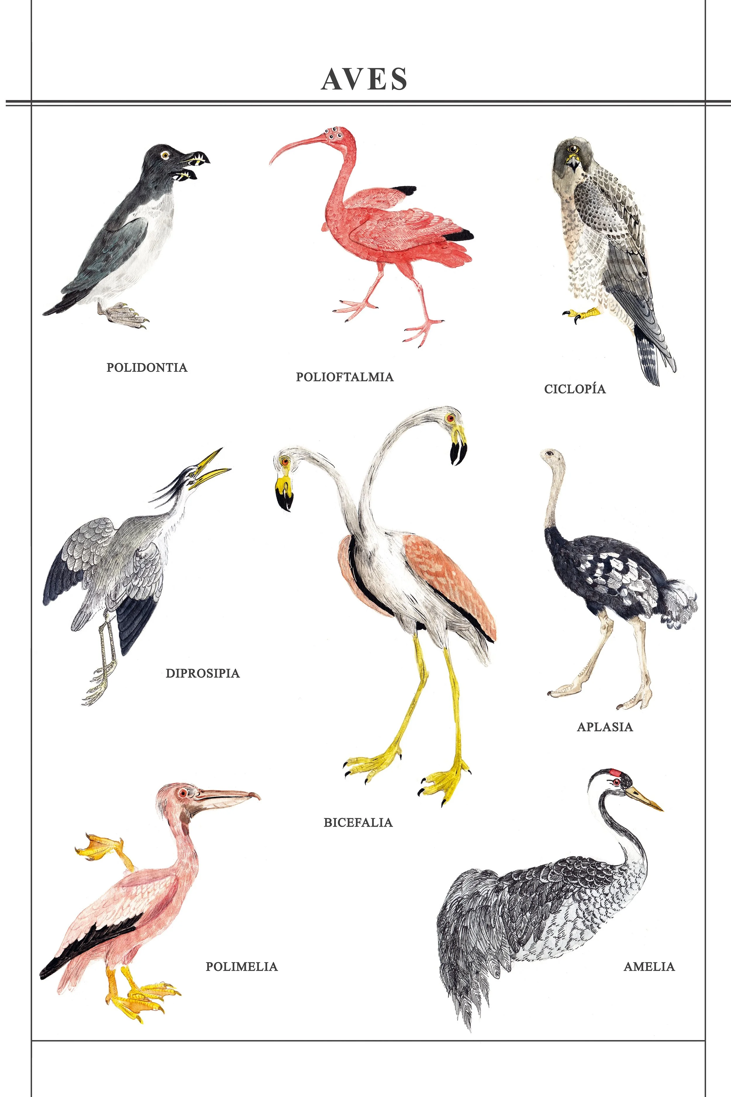 Teratología (Aves), 2016