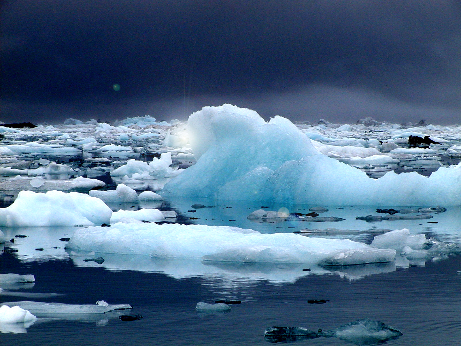 Last Days of the Icebergs