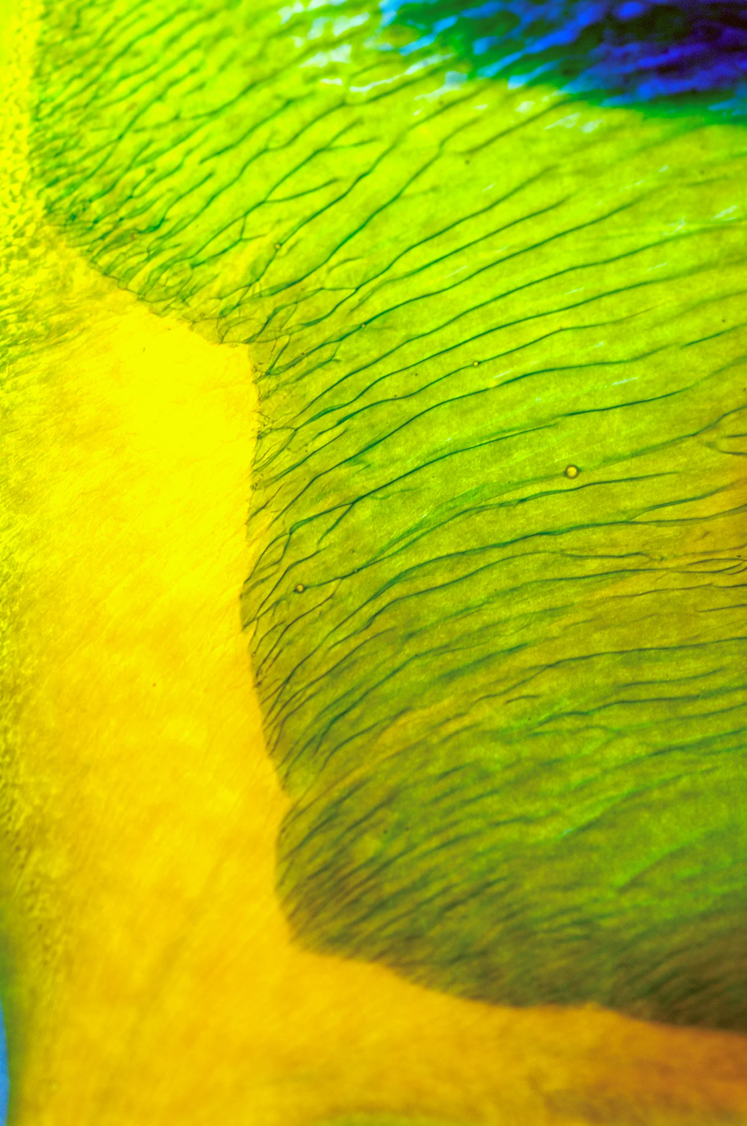 skoerne_abstract_05.jpg