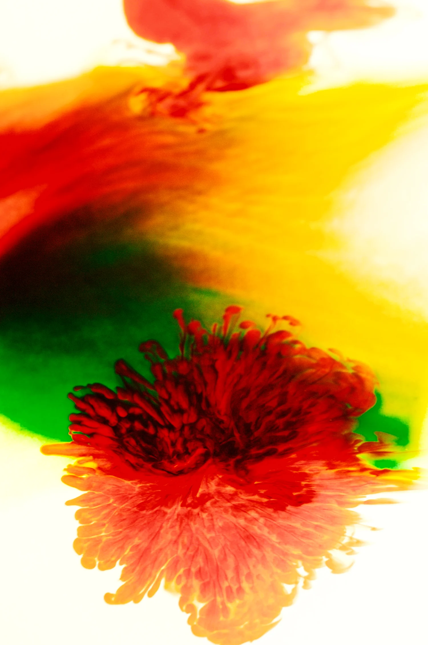 skoerne_abstract_16.jpg