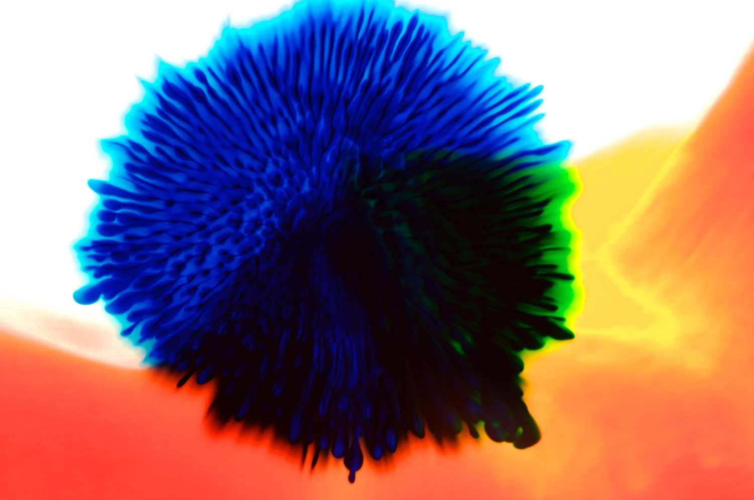 skoerne_abstract_17.jpg