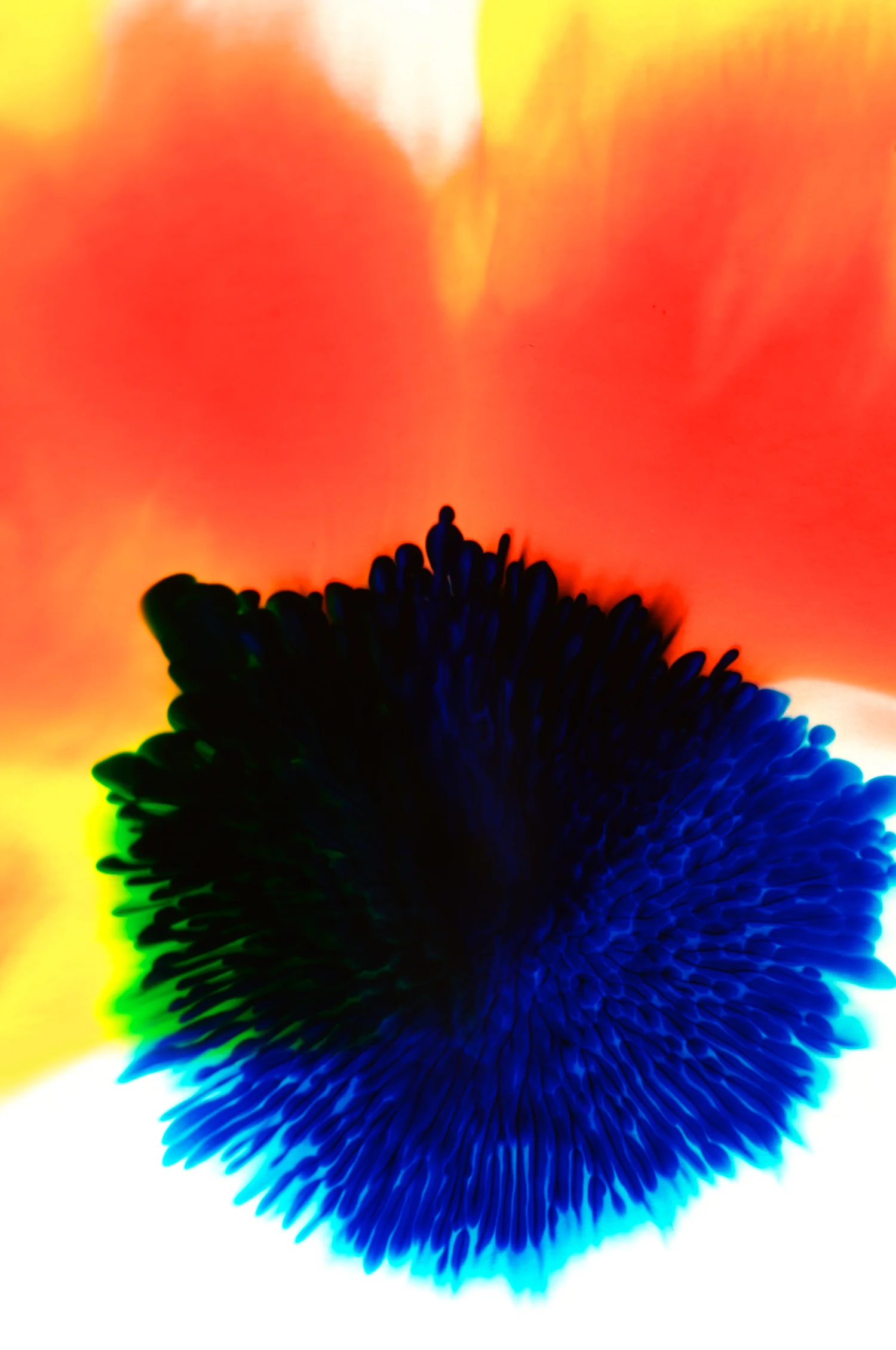 skoerne_abstract_18.jpg