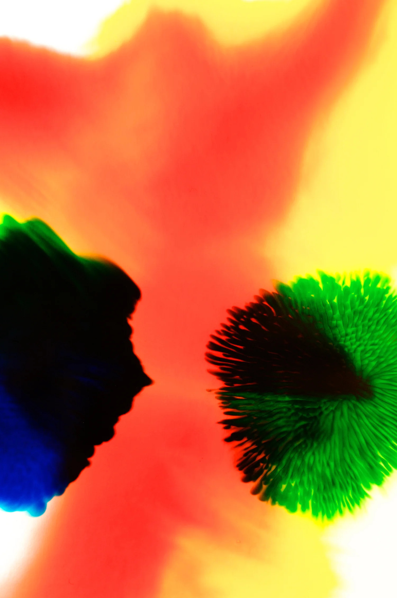 skoerne_abstract_19.jpg