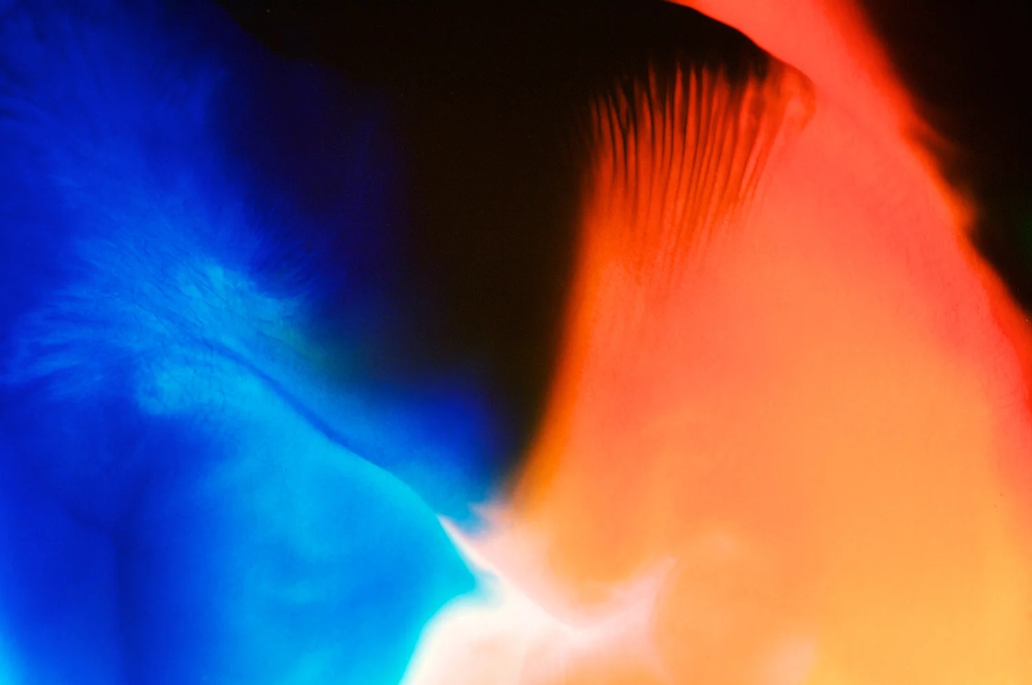skoerne_abstract_446.jpg