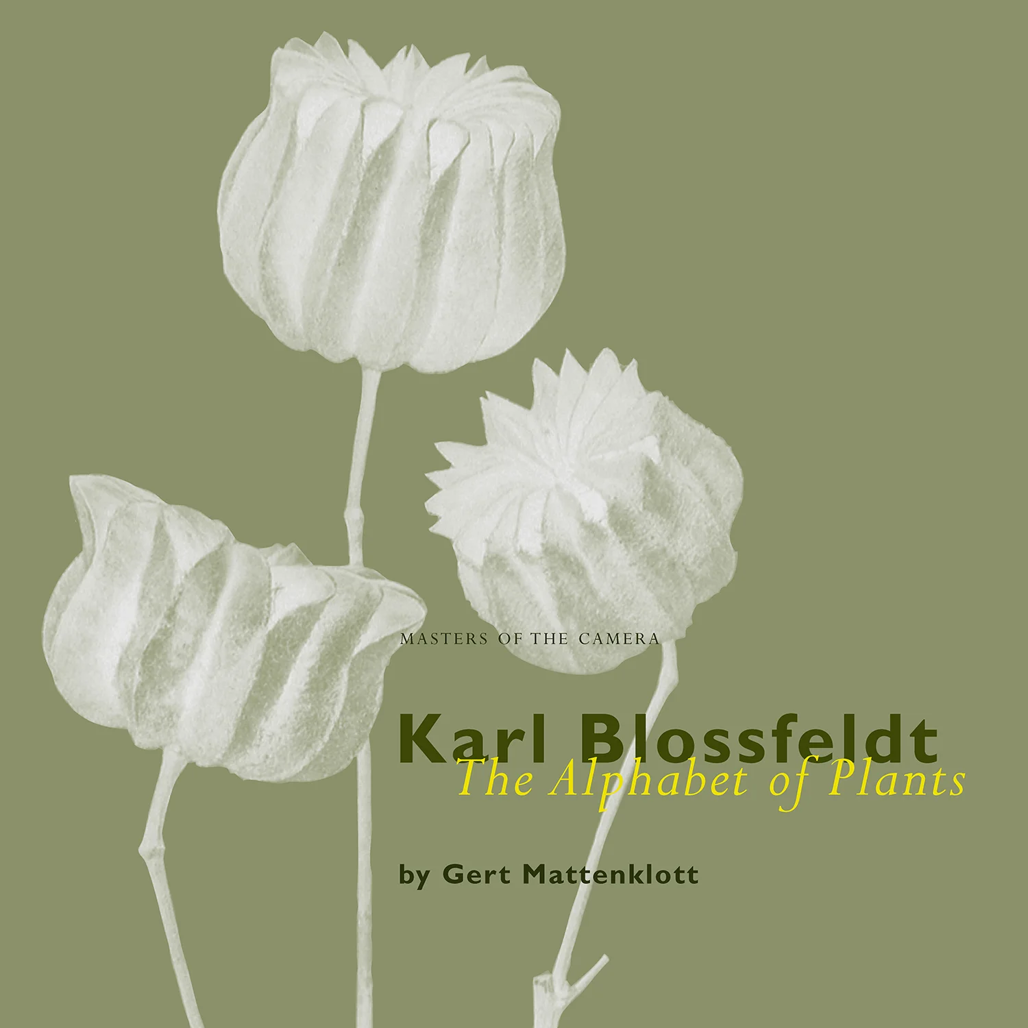 skoerne_blossfeldt_book_Page_1.jpg