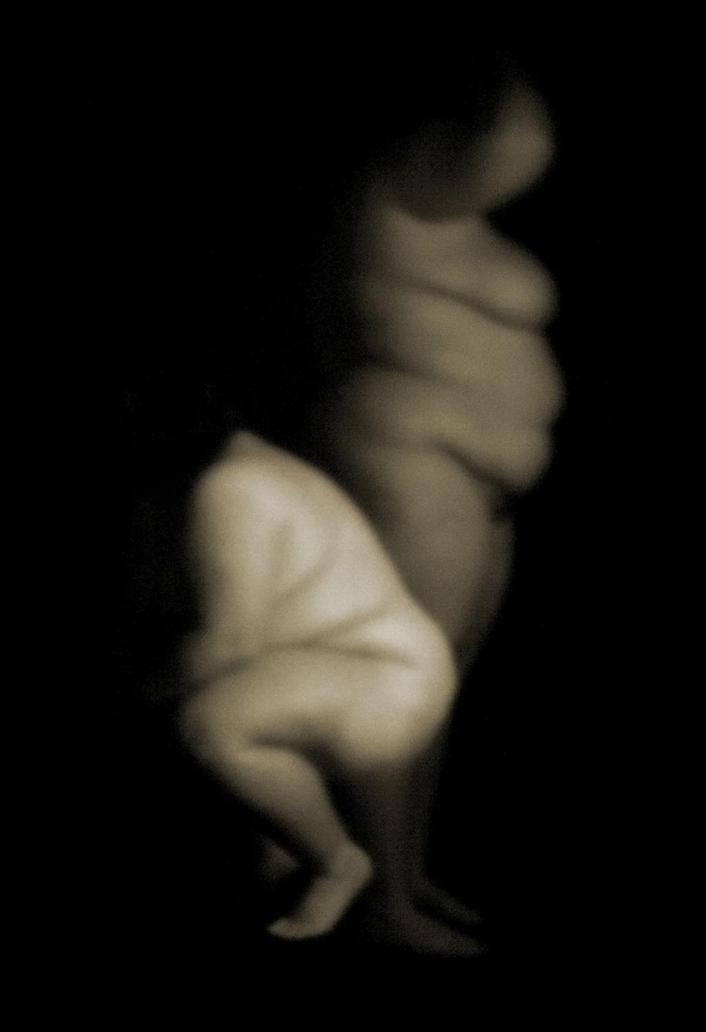8_scorn_1634.jpg