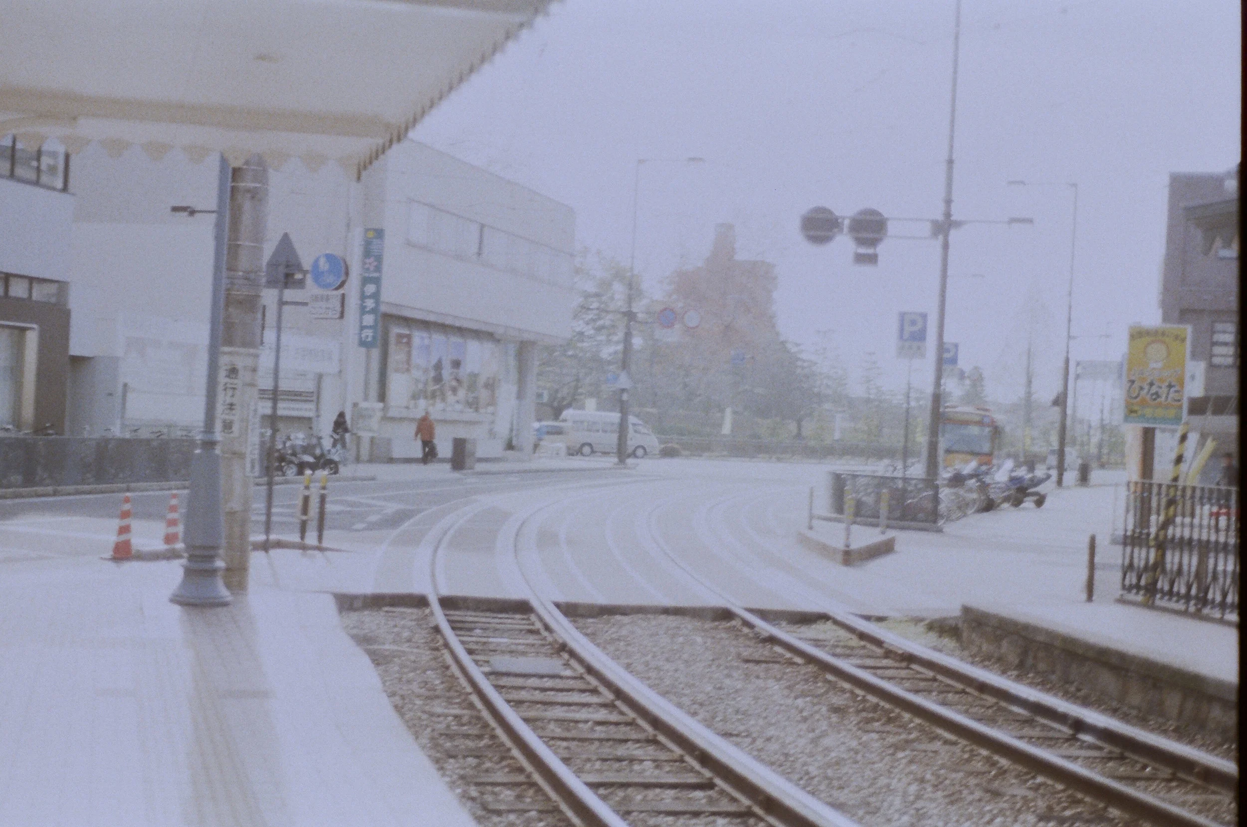 55540036.JPG