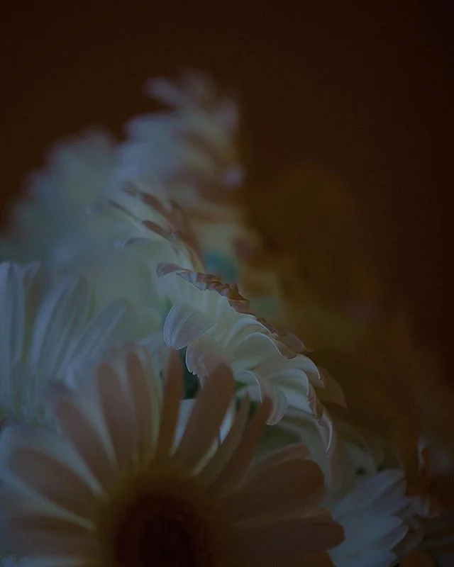 Sleepless Night w/ Nikon Macro
.
.
.
#portraits #portrait #portraits_ig #pixel_ig #portraiture #expofilm3k #portrait_perfection #portraitstyles_gf #snowisblack #portraits_universe #featurepalette #featurepalette  #rsa_portraits #makeportraits #profil