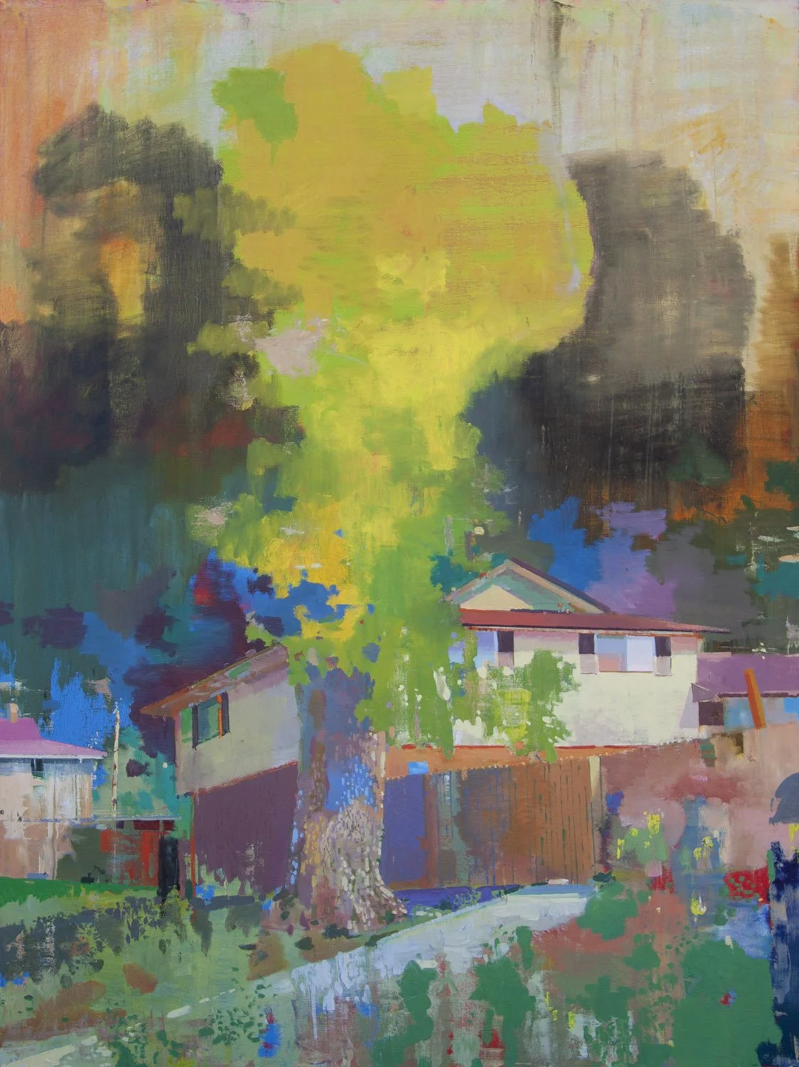 Recent — Daniel M. Granitto