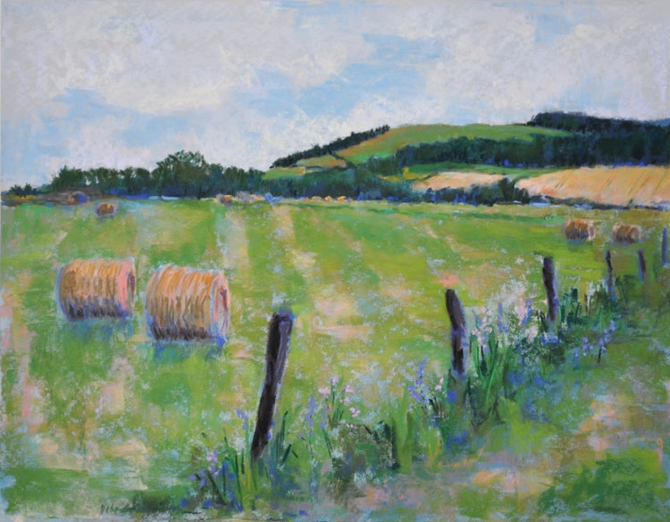 Pasture