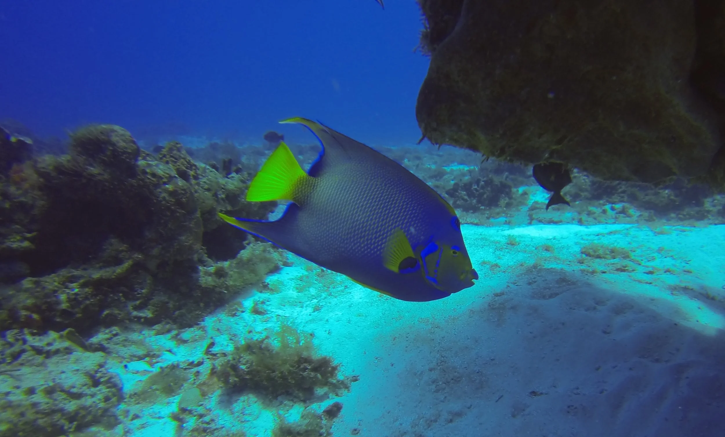 GOPR0233.JPG