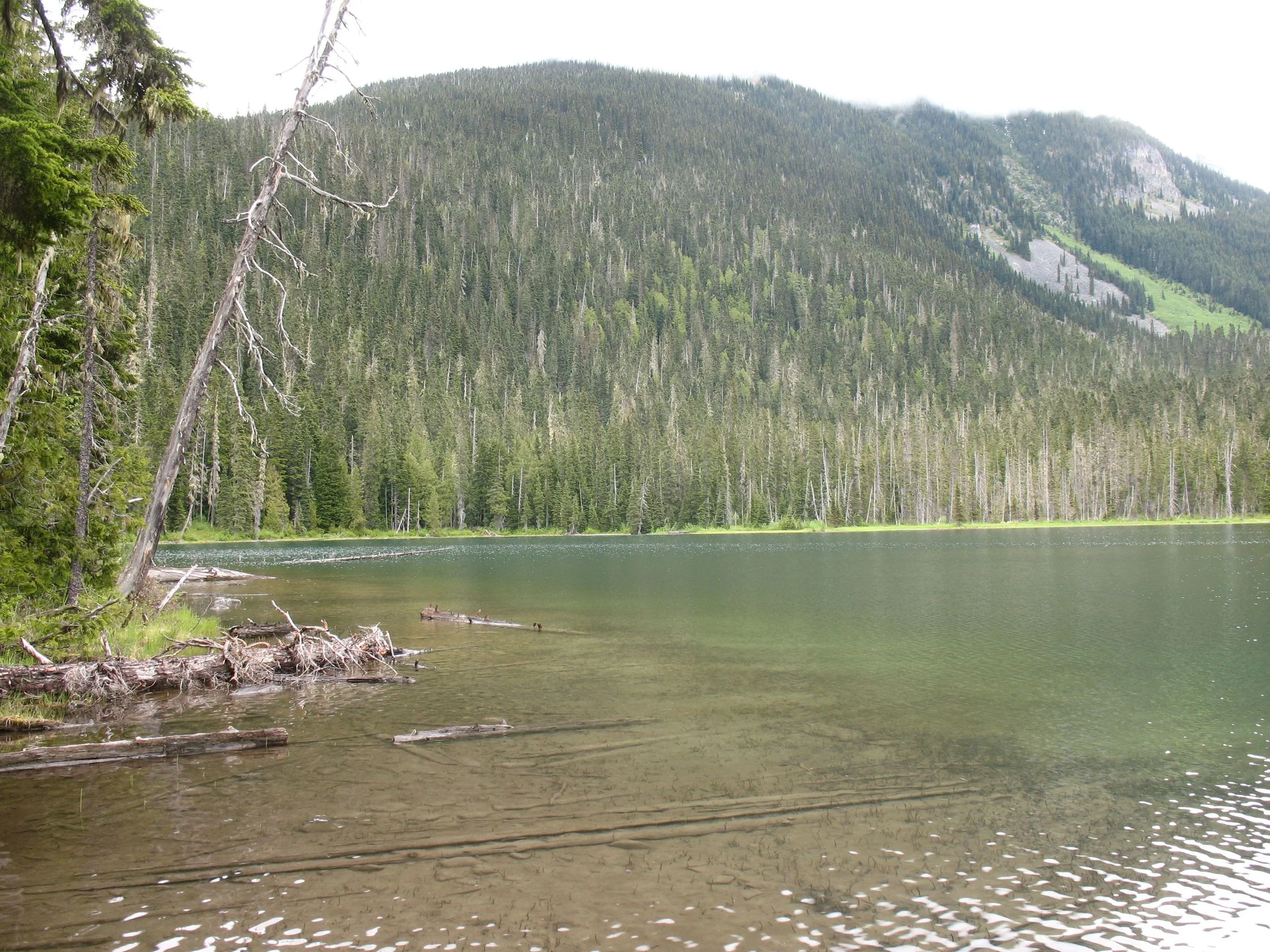 Calm_Lake2013.jpg