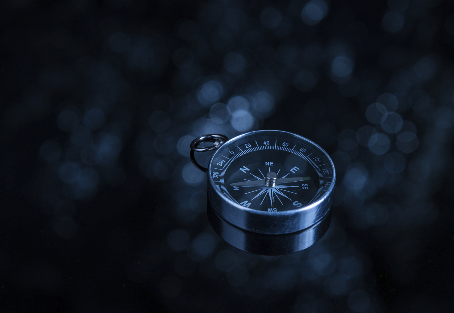 iStock_000068345113_Large_opt (1).jpg