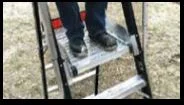 cage ladder 3.JPG