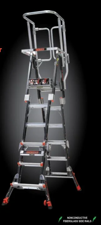 cage ladder 8.JPG