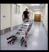 cage ladder 11.JPG