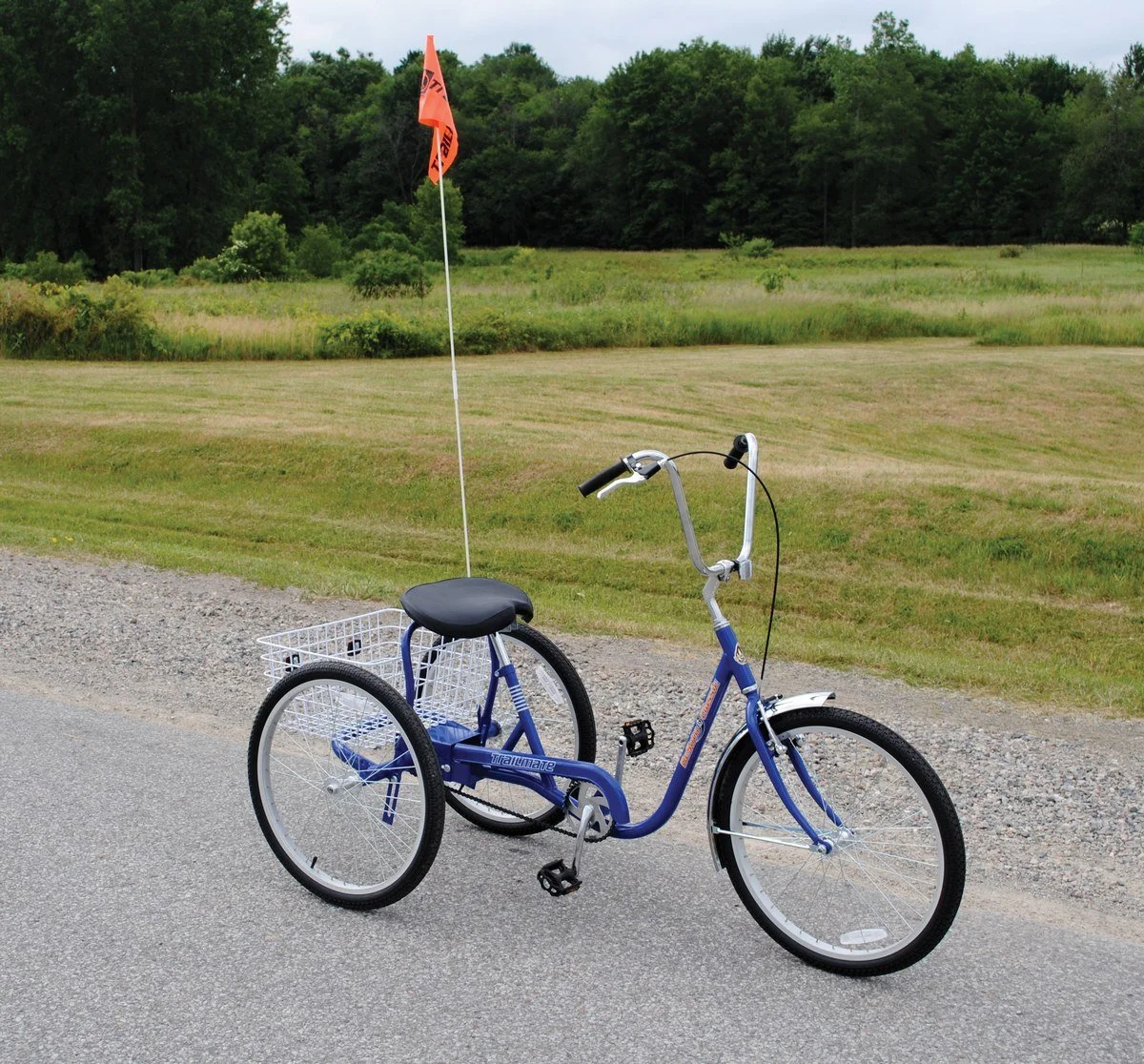 giant bicycles e bike The Complete Giant Bikes Model Guide