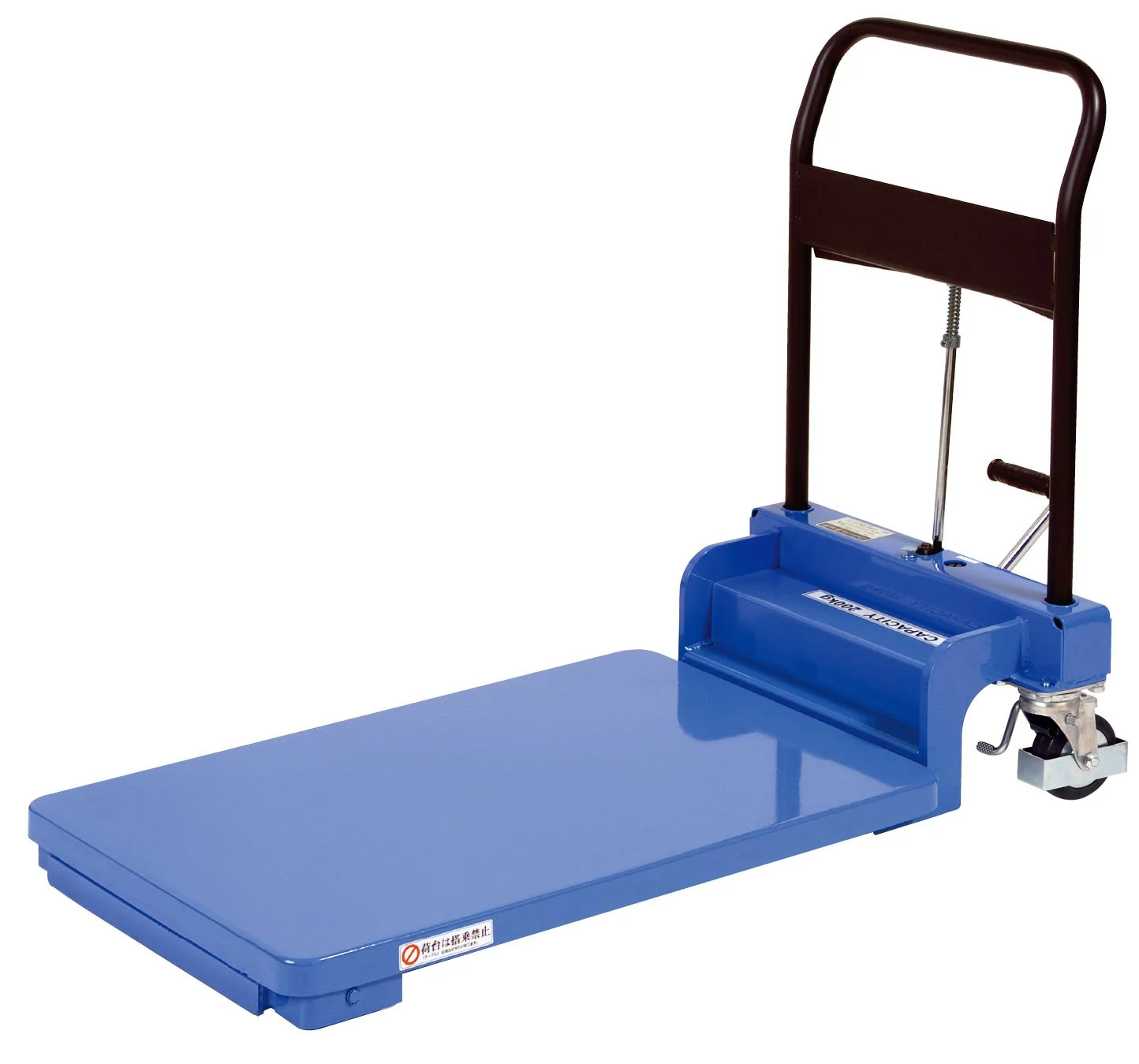 DS-CART-400-LP-B.jpg