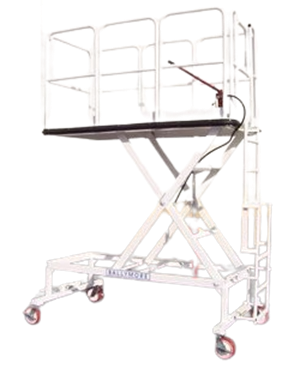 B4 Maintenance Stand | Platform & Ladder