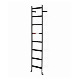 Fixed Ladders