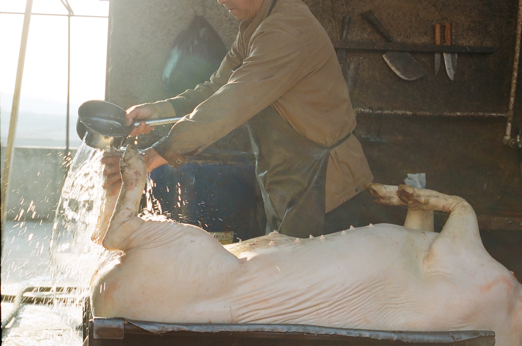 china_pig_slaughter.JPG