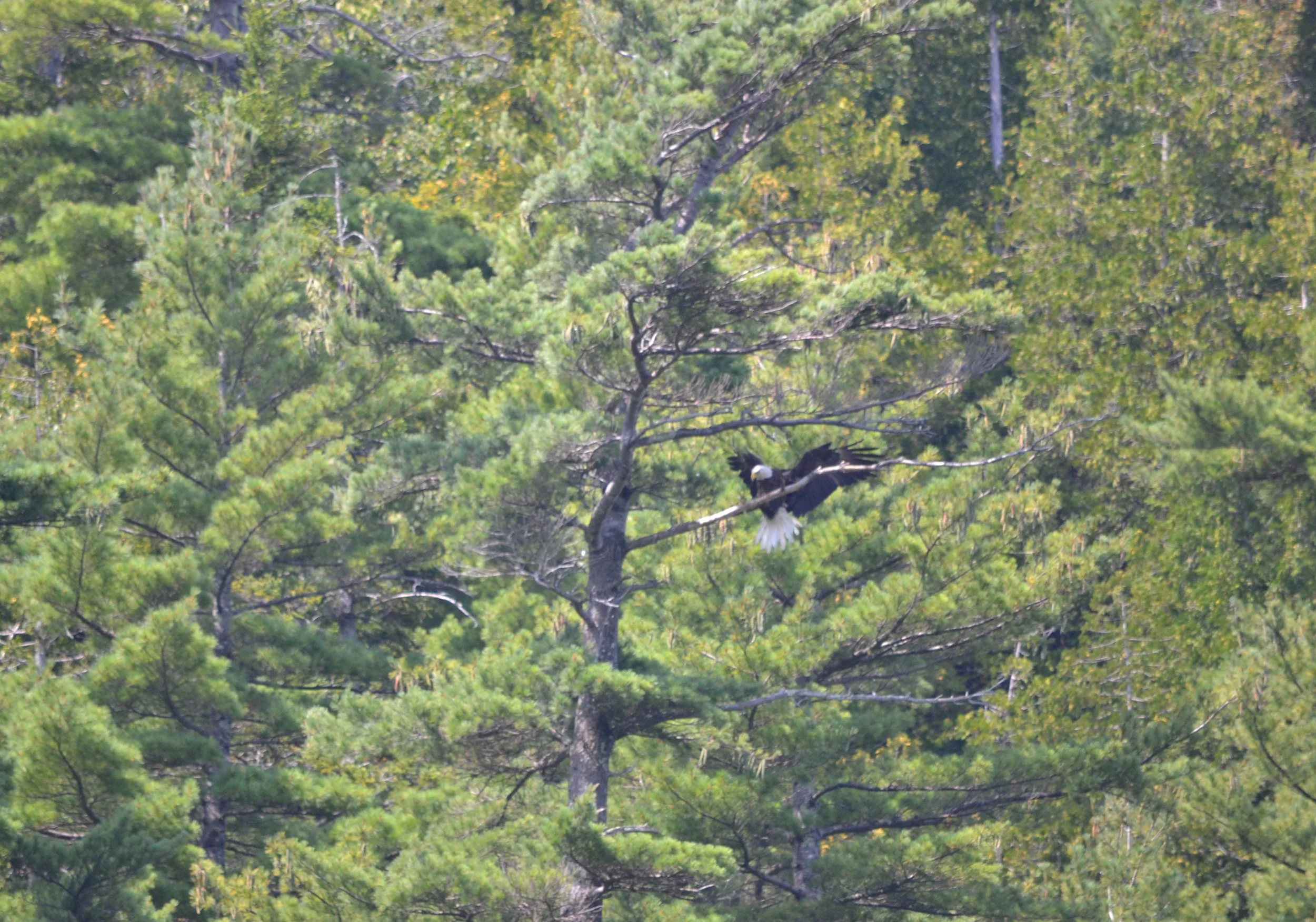 DSC_0226.jpg
