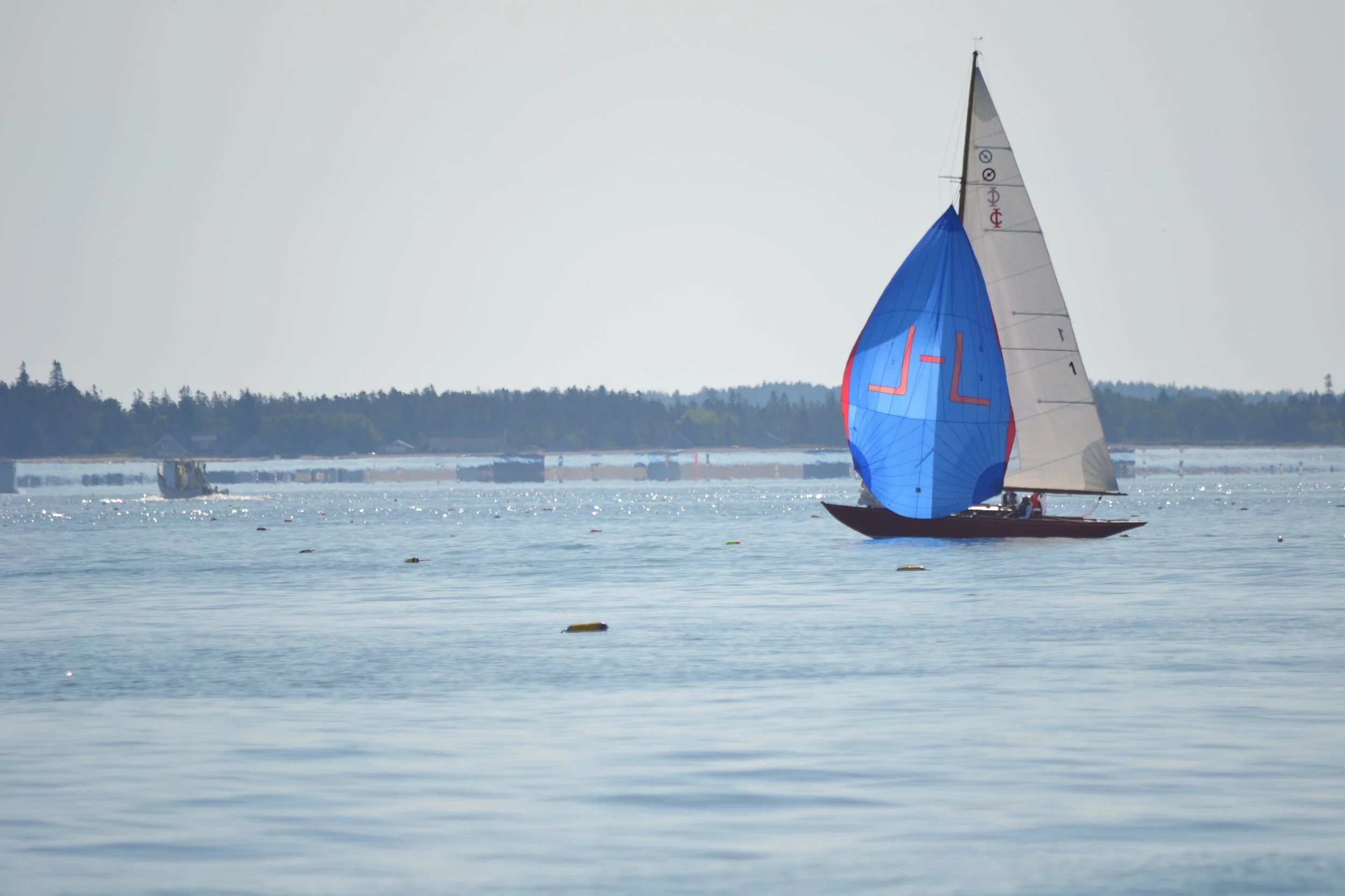 DSC_0181.jpg