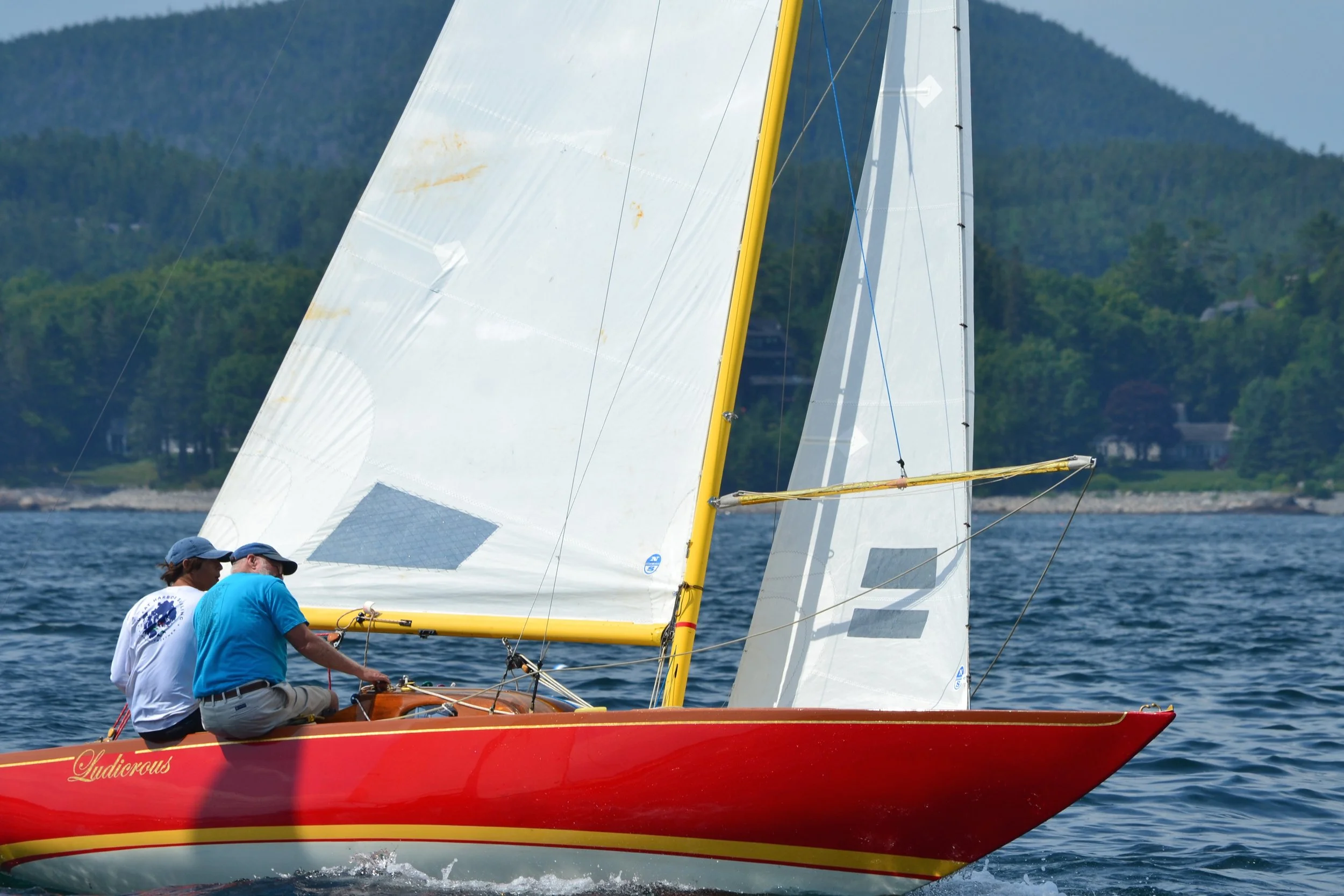DSC_0221.jpg