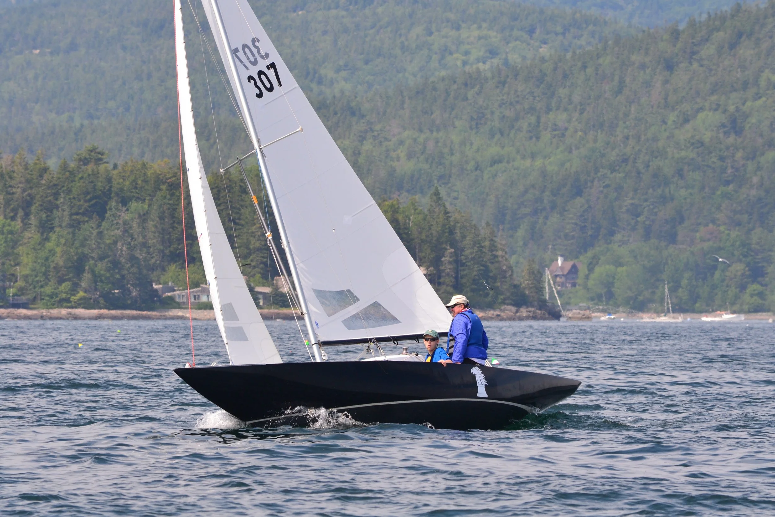 DSC_0231.jpg