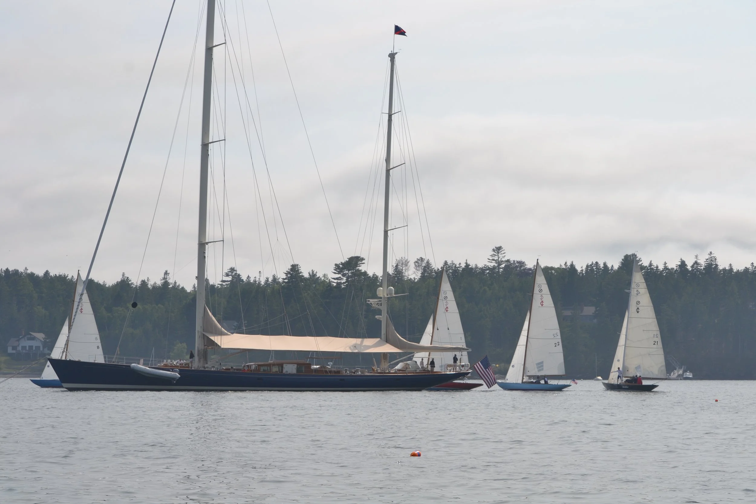 DSC_0221.jpg