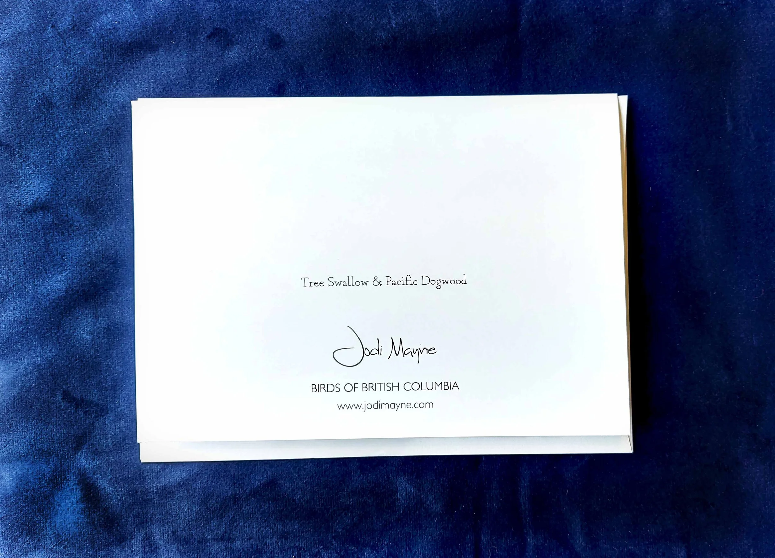 TreeSwallowCardBack.jpg
