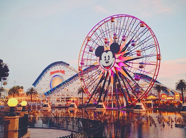 Dland 2013.jpg