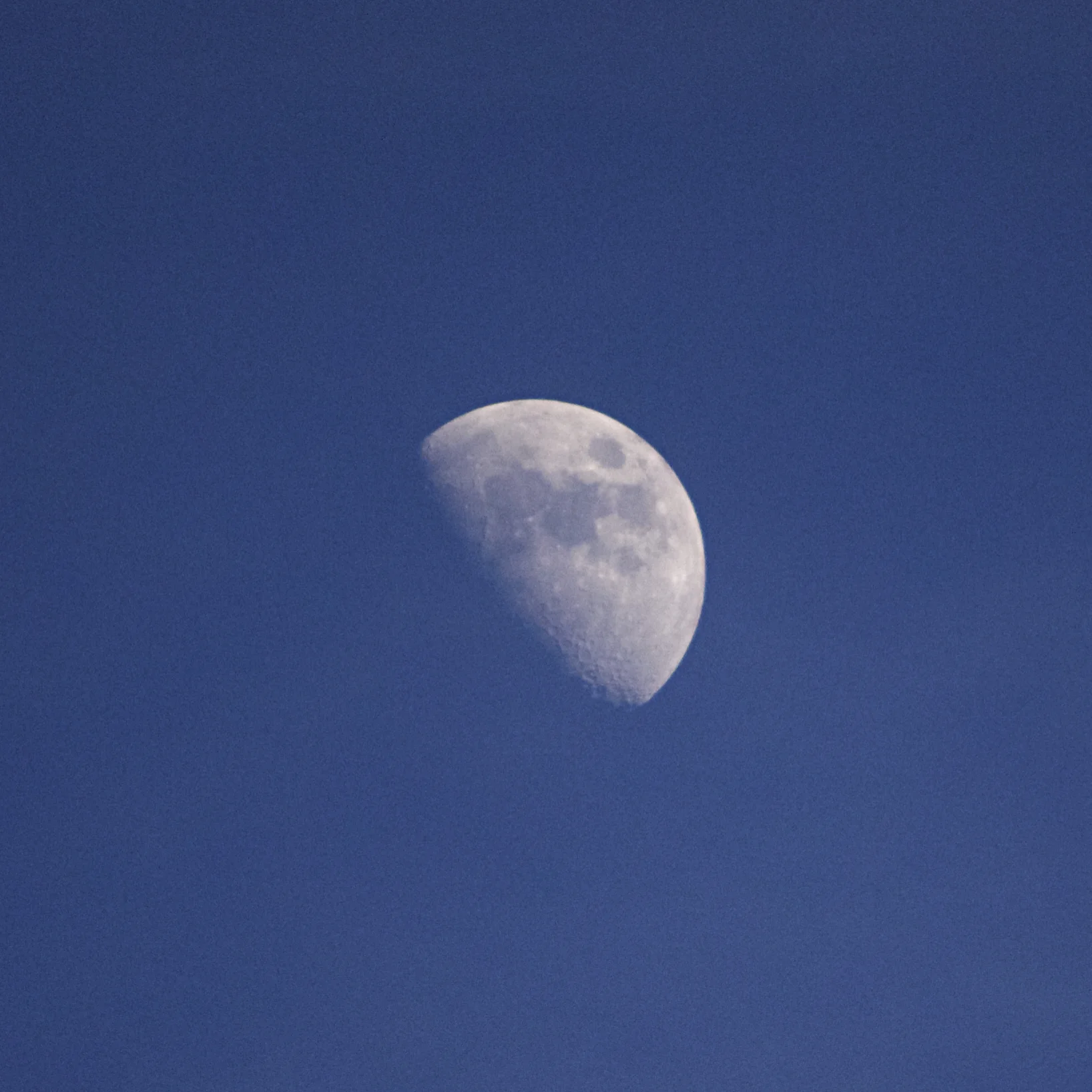 IMG_0677_Fotor.jpg