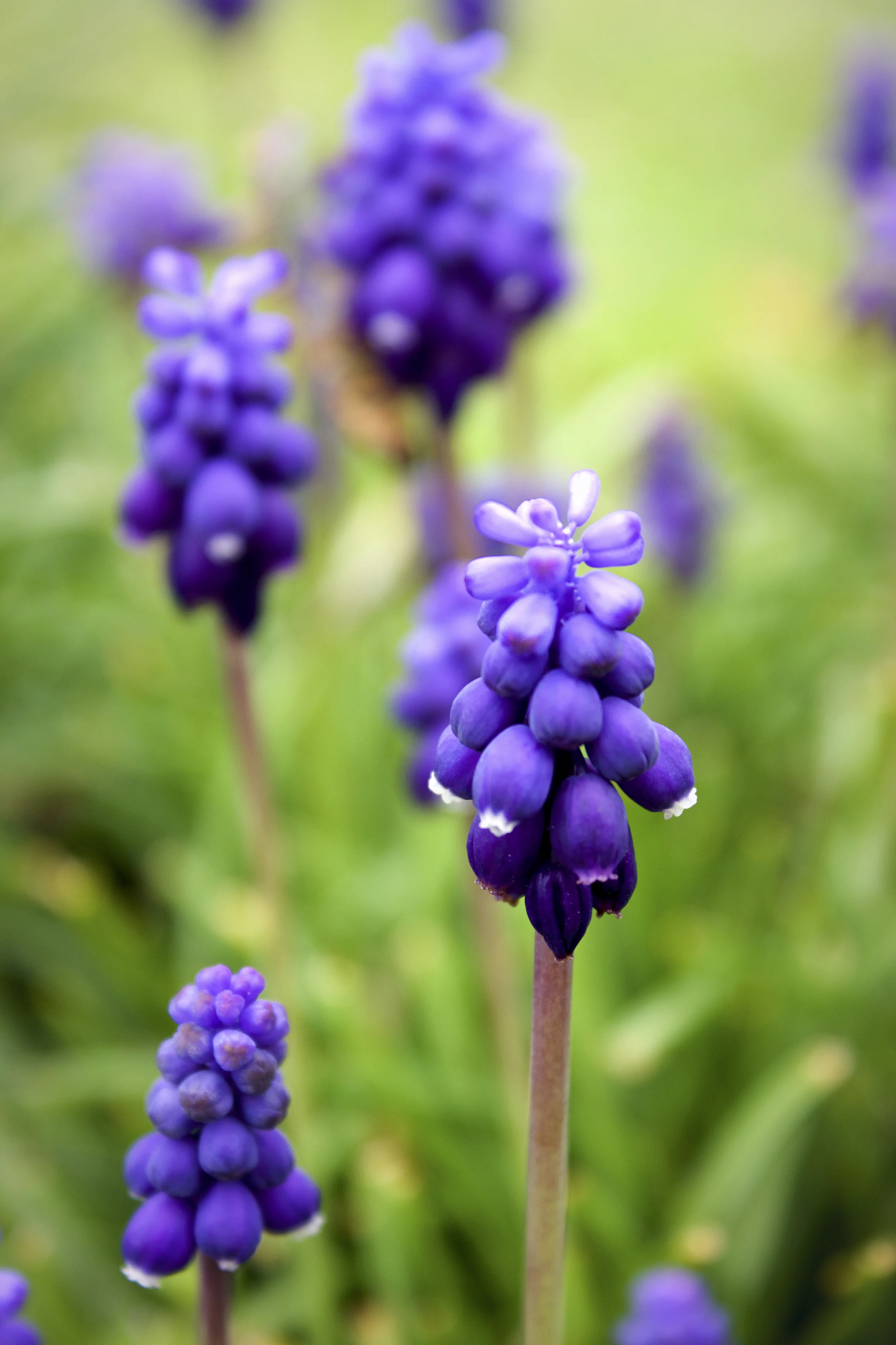 IMG_1720_Fotor.jpg