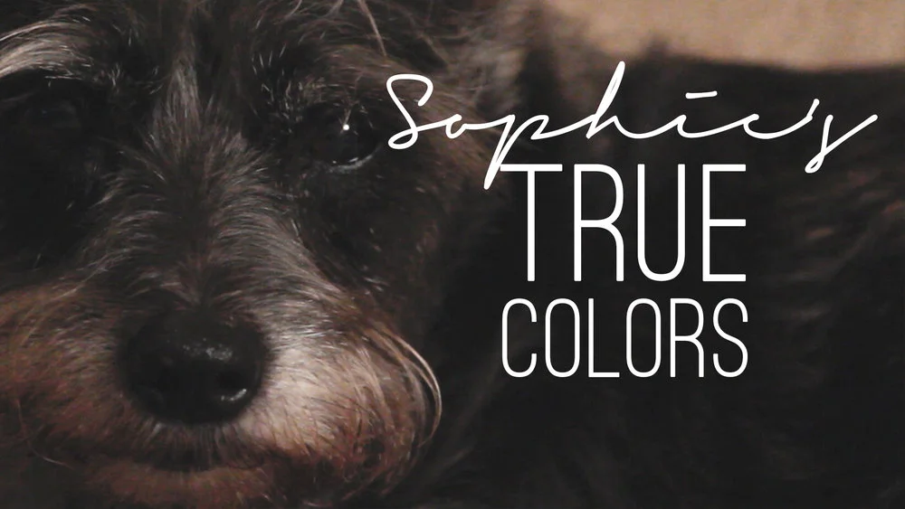 Sophie's+True+Colors+Thumbnail.jpg
