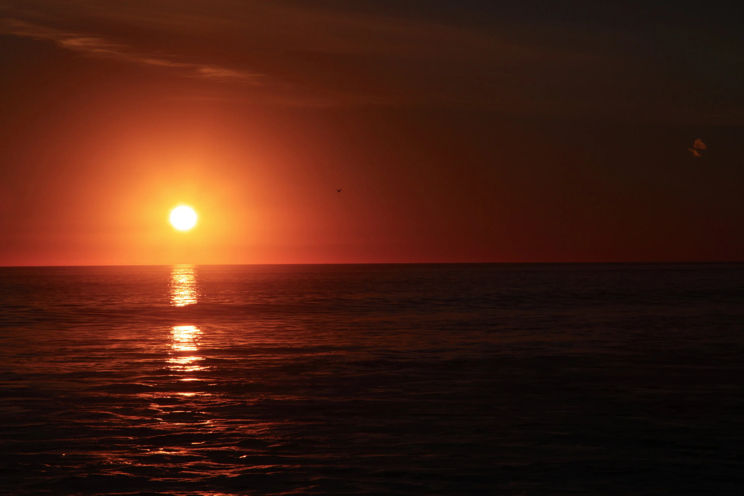 Malibu Sunset | Unedited Natural Red