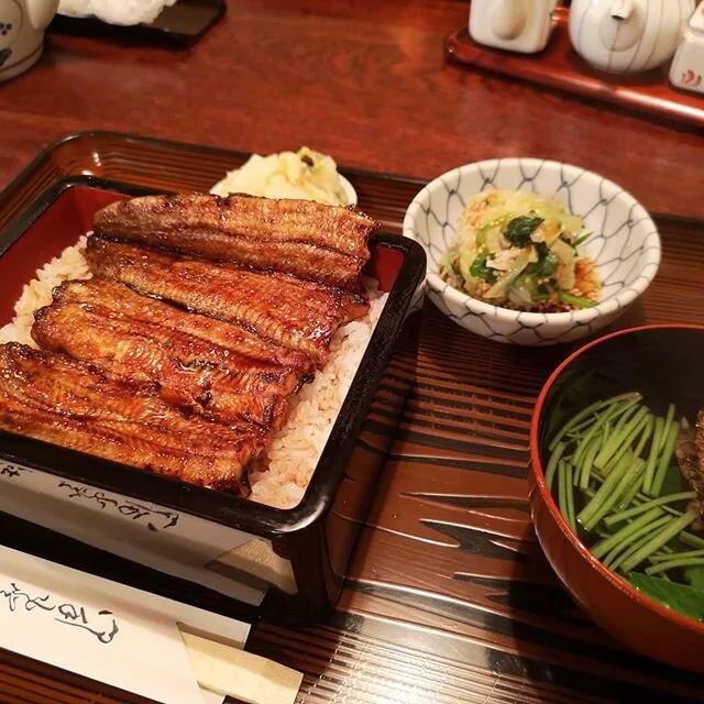 #unagi #ealrice