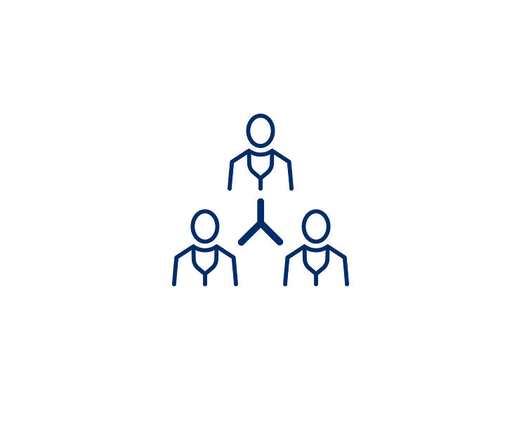 Provide ideas, guidance, knowledge and innovative options