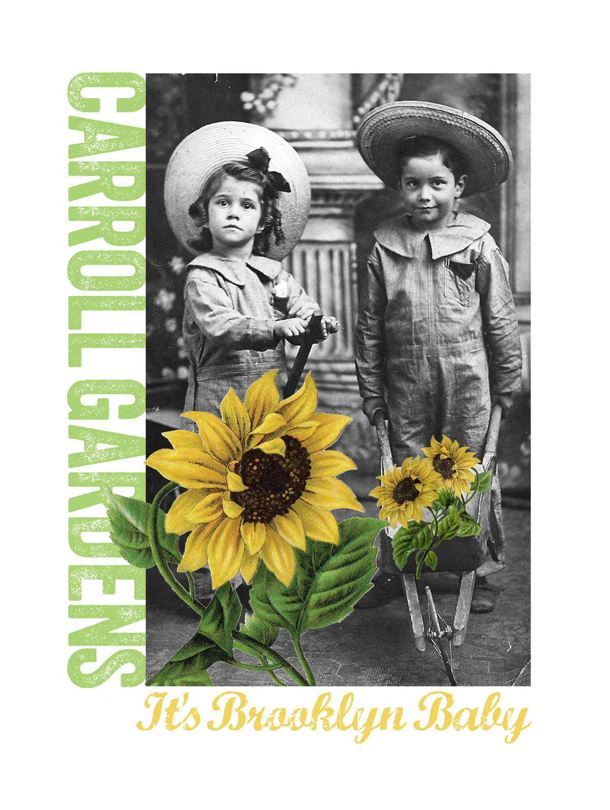 CarrollG_Sunflowers.jpg