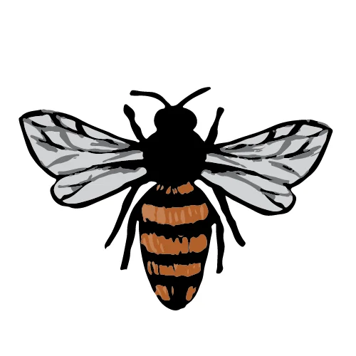 #farmersmarket #bhamfarmersmkt #communityfoodcoop #cascades #beeworksfarm #honey #beekeeper #honeybees #nature #beesofinstagram #bee #PNW #Bellingham #farmlife #localhoney #mountbaker #eatlocal #rawandunfiltered #rawhoney #raw #unfiltered #savethebees #honeybee #honeycomb #beelove #beekeeping #lovenature #eatrealfood #rawfood #foods52 #saveur #bonappetite