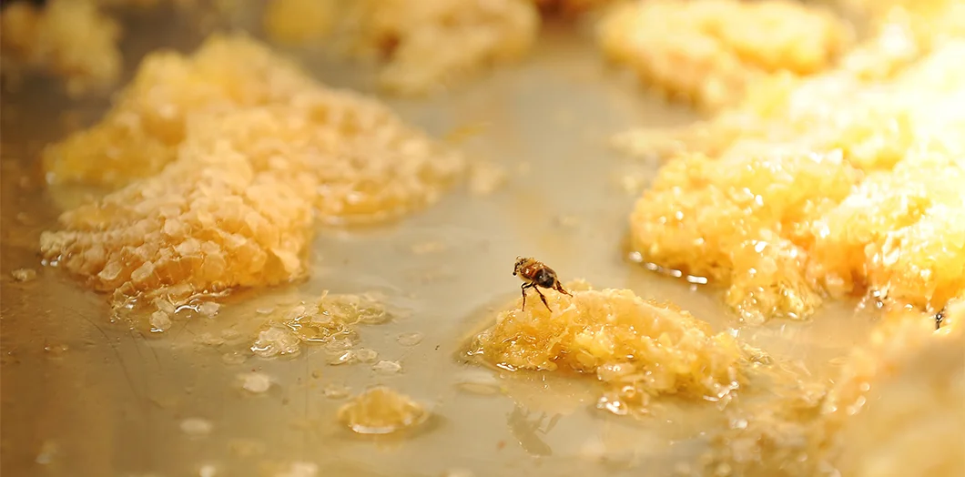 #farmersmarket #bhamfarmersmkt #communityfoodcoop #cascades #beeworksfarm #honey #beekeeper #honeybees #nature #beesofinstagram #bee #PNW #Bellingham #farmlife #localhoney #mountbaker #eatlocal #rawandunfiltered #rawhoney #raw #unfiltered #savethebees #honeybee #honeycomb #beelove #beekeeping #lovenature #eatrealfood #rawfood #foods52 #saveur #bonappetite