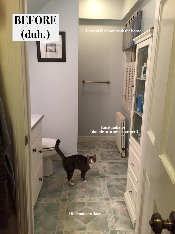 Current half-bath situation, with Josie photobomb