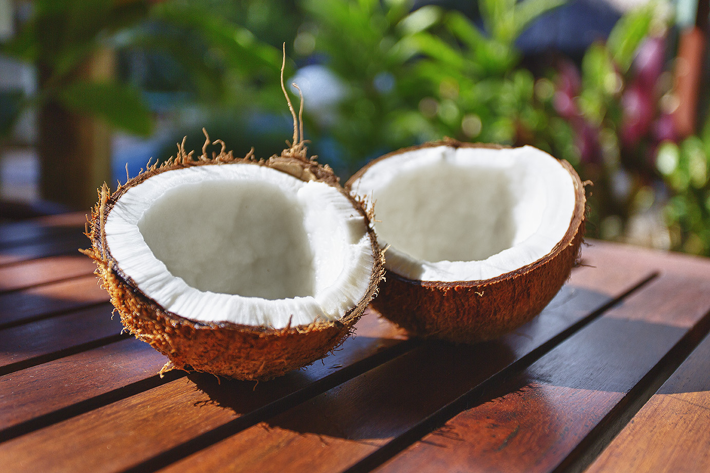 coconuts.jpg